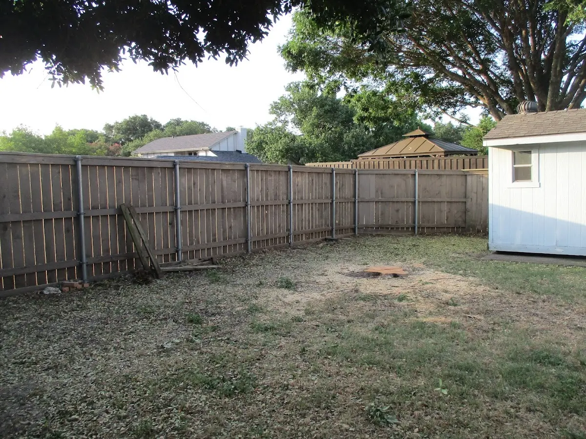 Cleared yard after professional tree removal in Sugar City