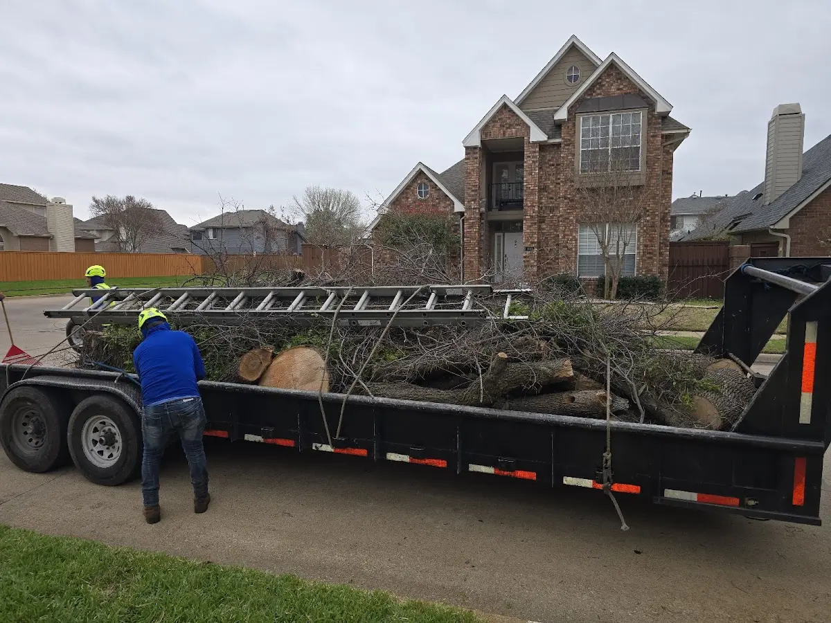 Expert Tree Fertilization with proper safety equipment in Sugar City